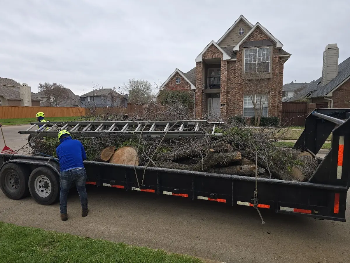 Expert Tree Fertilization with proper safety equipment in Ionia